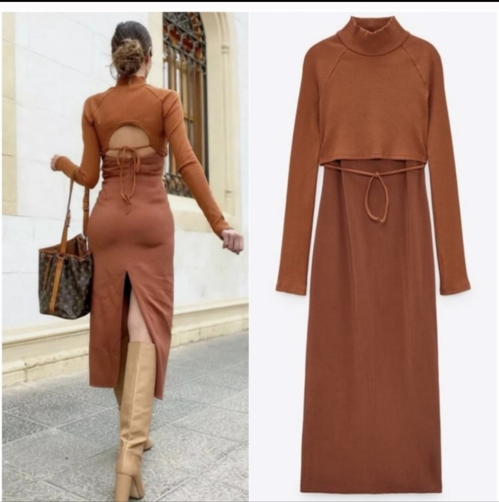 Zara Brown Backless Dress